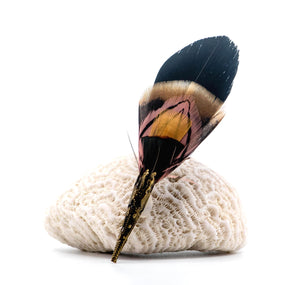 Brown Sugar Feather Brooch