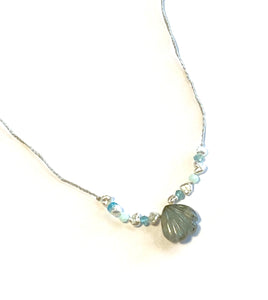 Sea Shell